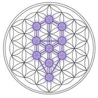 Axiatonal Alignment   